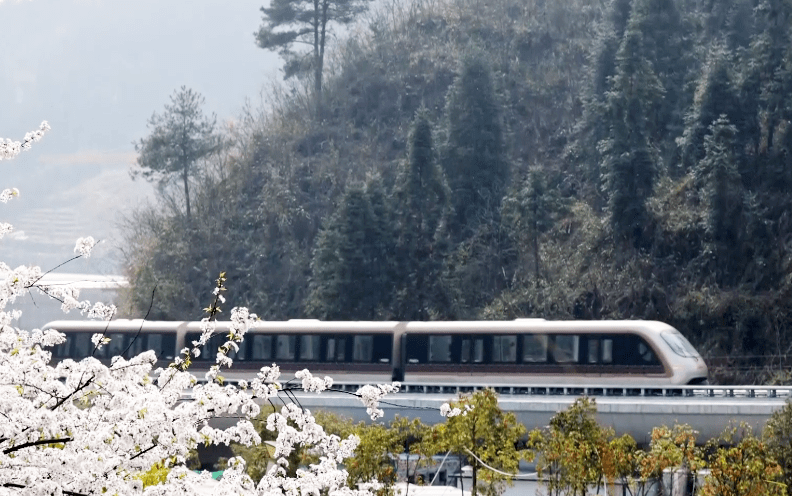 鳳凰磁浮文旅項目順利通過竣工驗收(圖1)