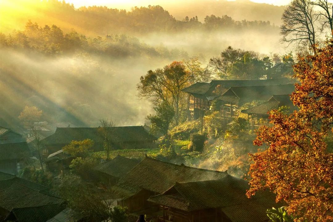 “小溪印象”湖南小溪國(guó)家級(jí)自然保護(hù)區(qū)攝影、短視頻和經(jīng)典美文征集活動(dòng)征稿啟事(圖9)