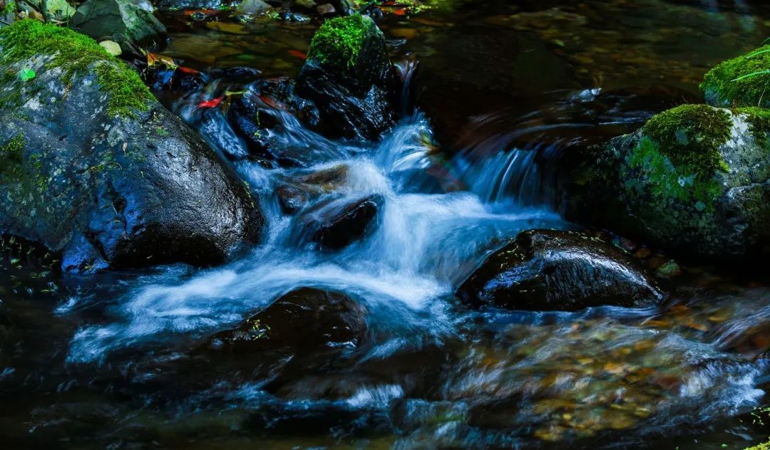 “小溪印象”湖南小溪國(guó)家級(jí)自然保護(hù)區(qū)攝影、短視頻和經(jīng)典美文征集活動(dòng)征稿啟事(圖13)